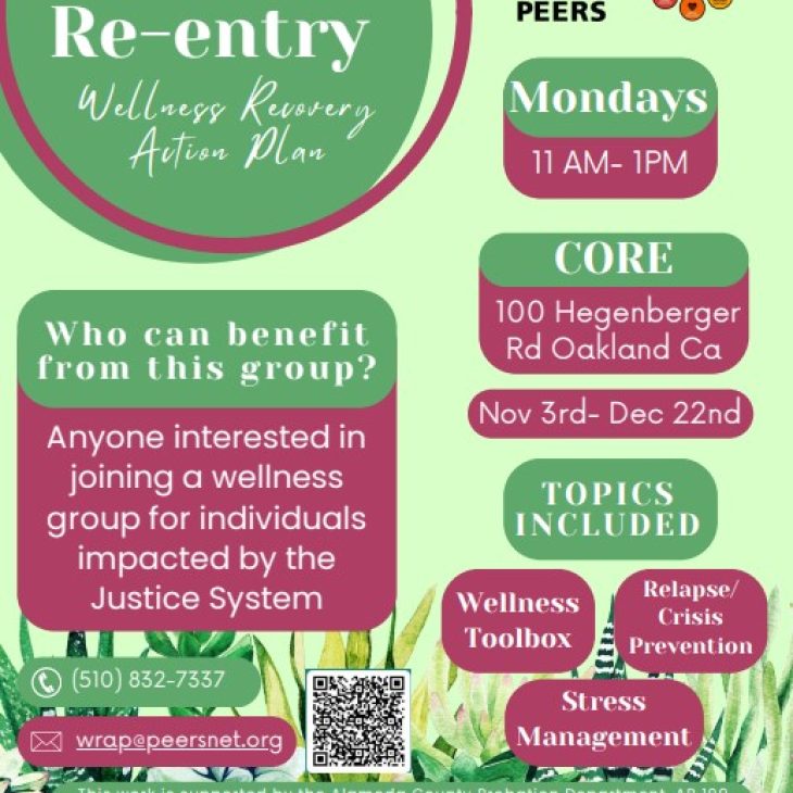 11/3-12/22 (Mondays) Wellness Recovery Action Plan